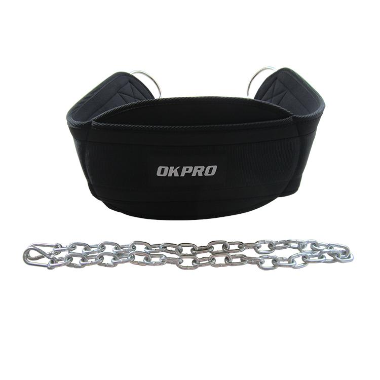 Dip/Chain Belt - Image 2