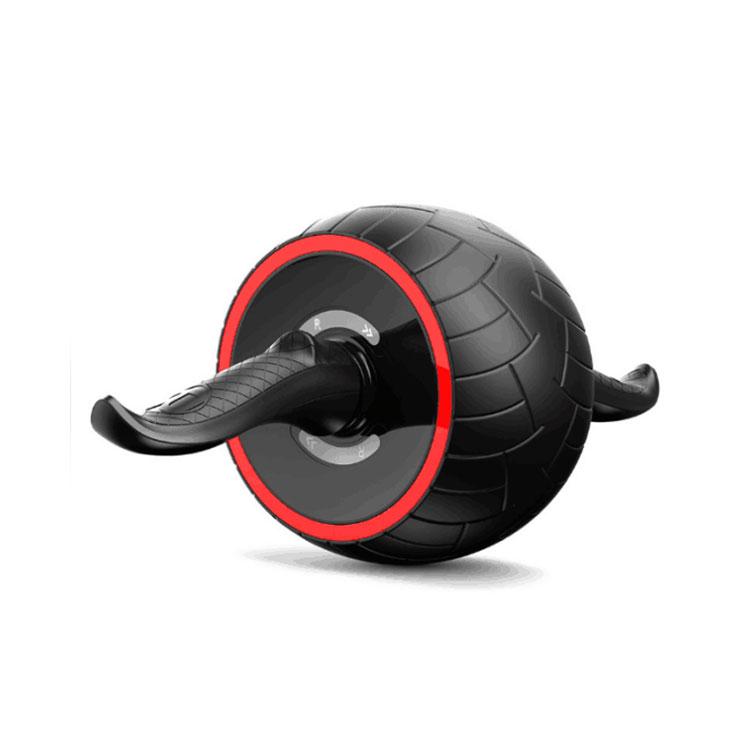 Ab Wheel - Image 1