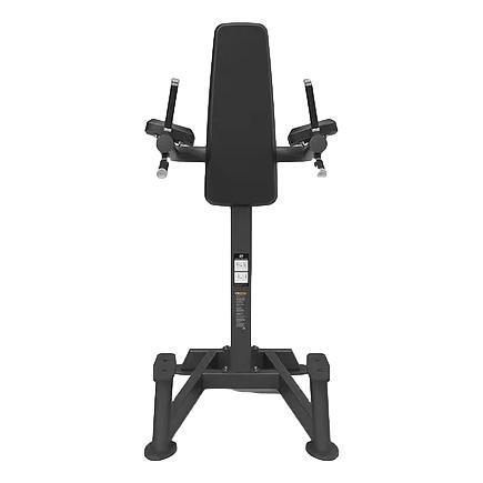 SPIRIT Leg Raise/Dip Tower - Image 2