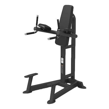 SPIRIT Leg Raise/Dip Tower