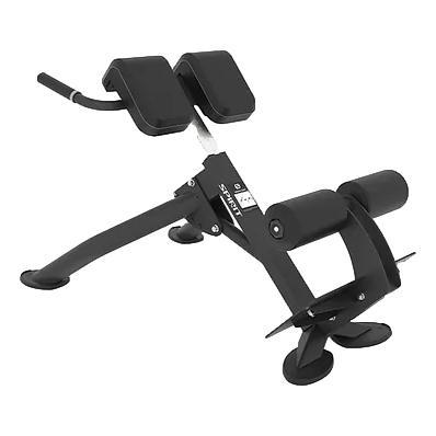 SPIRIT Back Extension - Image 3