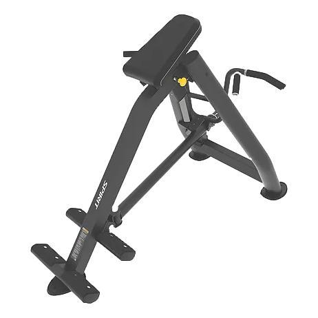 SPIRIT T-Bar Row
