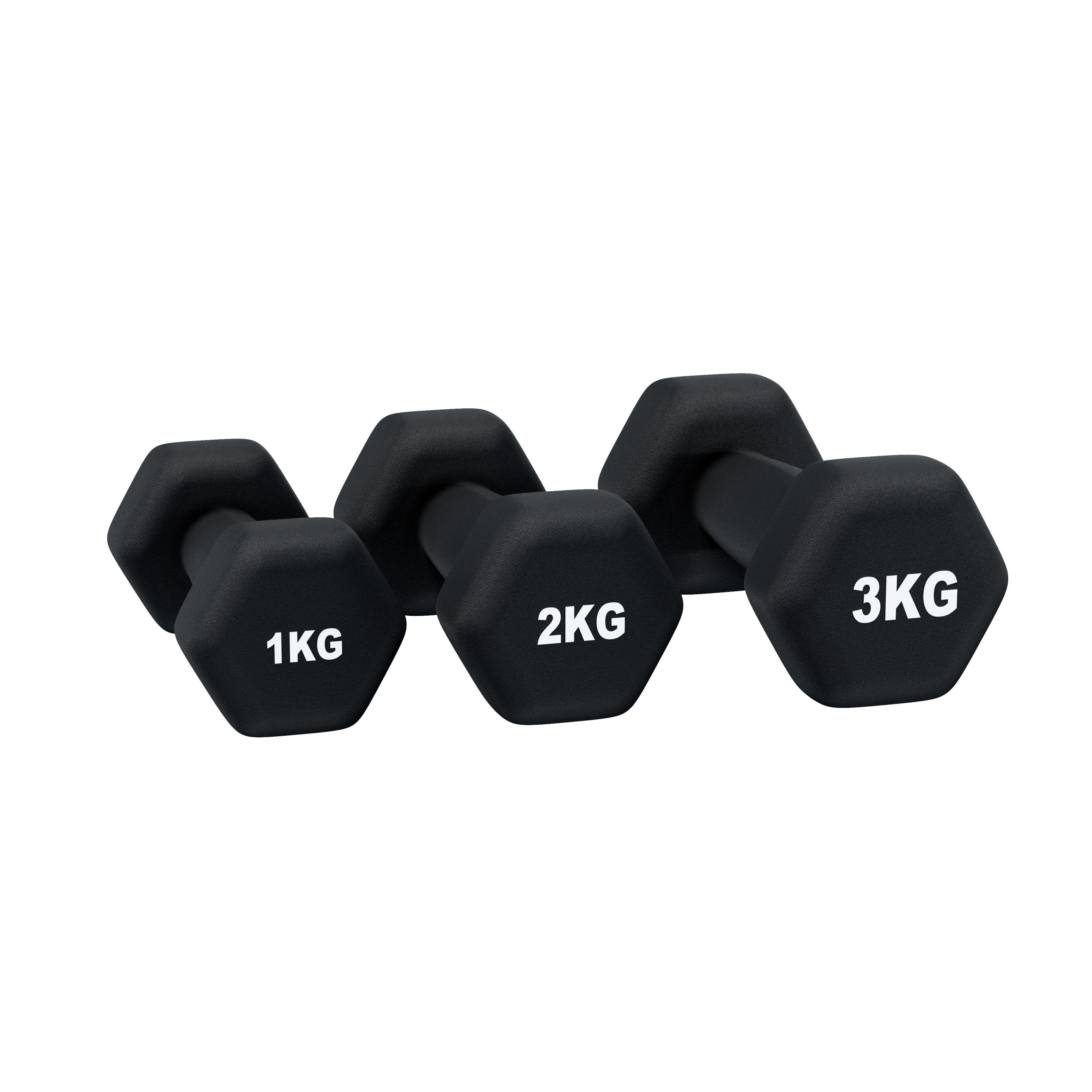 MaxFit Studio Dumbbells - Image 2